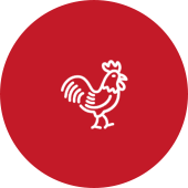 thekukkadchicken